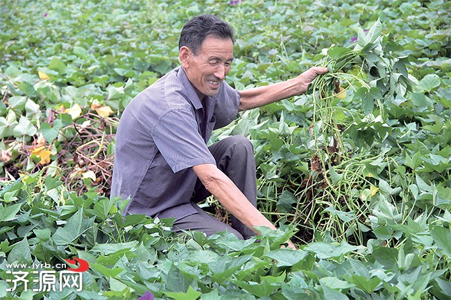 濟源網(wǎng)