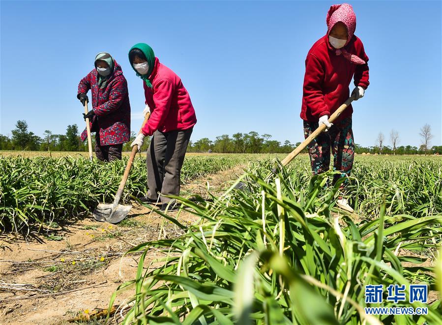 （新華全媒頭條·圖文互動）（17）從人民中汲取磅礴力量——習近平總書記同出席2020年全國兩會人大代表、政協委員共商國是紀實