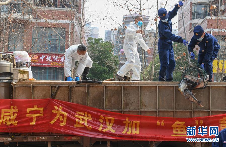 （新華全媒頭條·圖文互動）（12）從人民中汲取磅礴力量——習近平總書記同出席2020年全國兩會人大代表、政協委員共商國是紀實