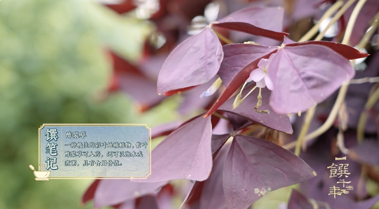 《一饌千年》走進(jìn)河南開封，看豫菜何以影響中國2000余年