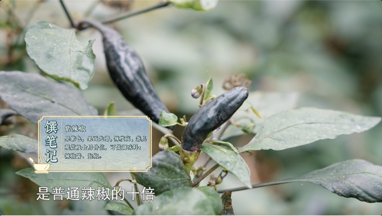 《一饌千年》走進(jìn)河南開封，看豫菜何以影響中國2000余年