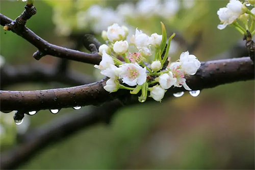 濟源網(wǎng)