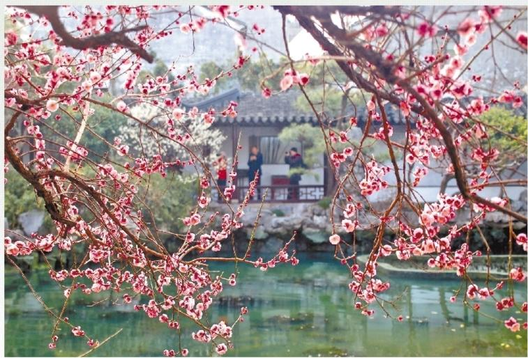 濟源網(wǎng)